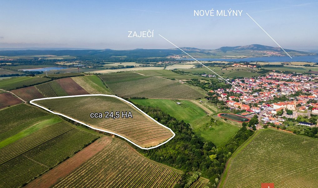 Prodej pozemku 256 256 m², Zaječí – náhled fotky 6