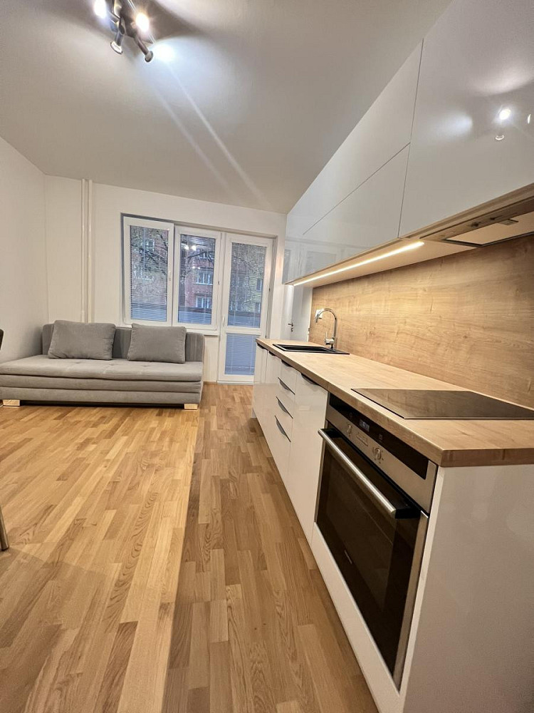Pronájem bytu 1+kk 31 m² — photo 4