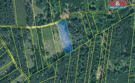Prodej lesa 5 033 m², Jetětice, okres Písek