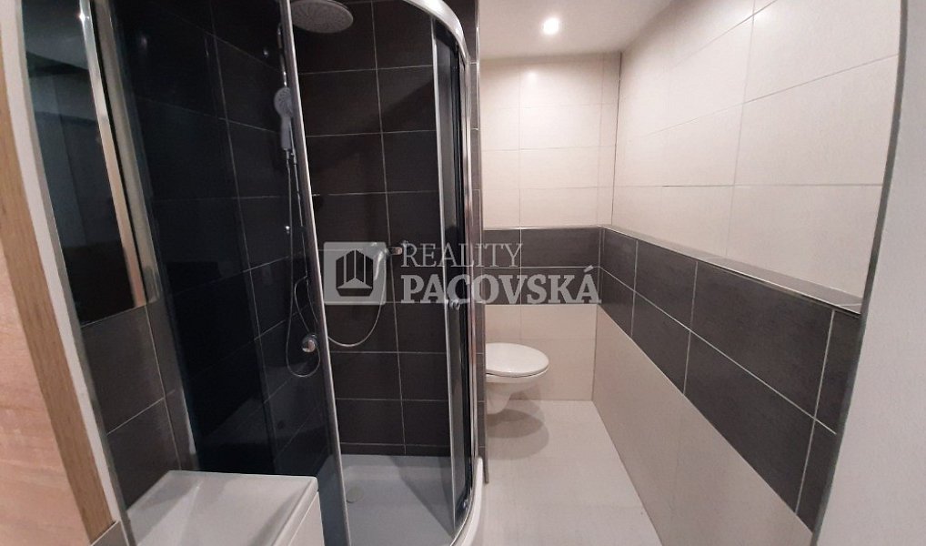 Pronájem bytu 1+kk 21 m², Ústí nad Labem – náhled fotky 6