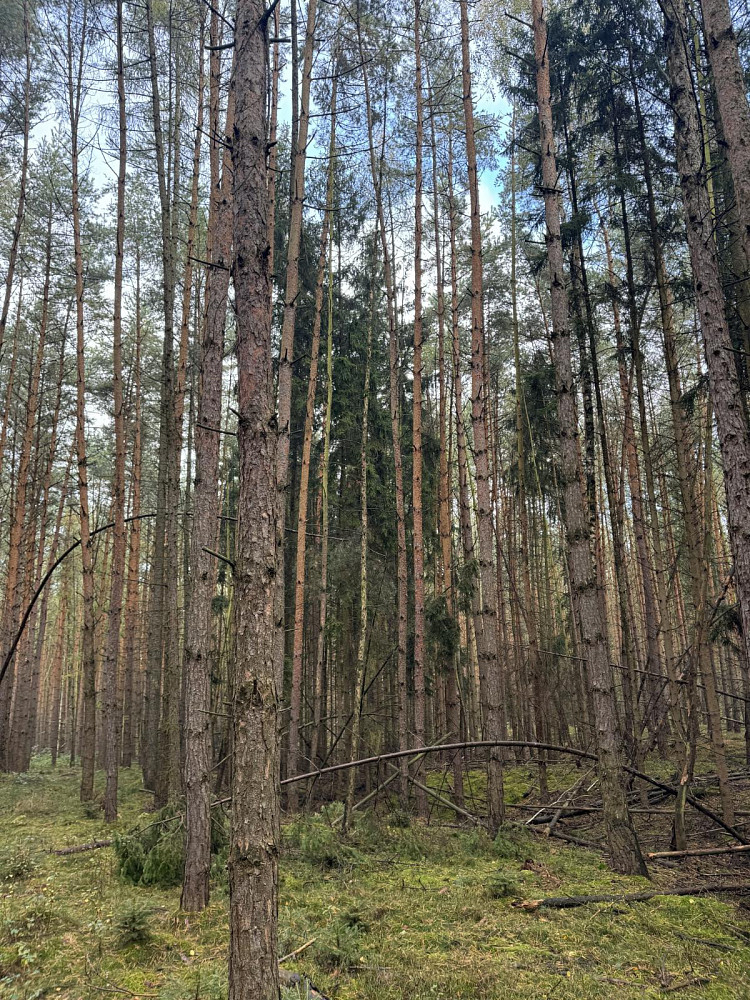 Fotka 10 z 14