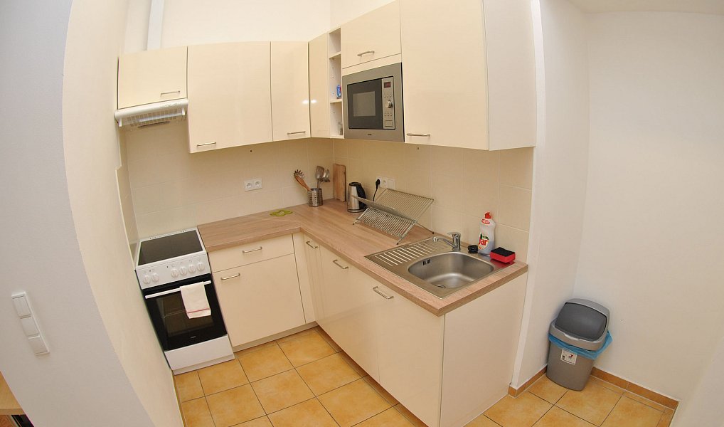 Pronájem pokoje 75 m², Brno – náhled fotky 14