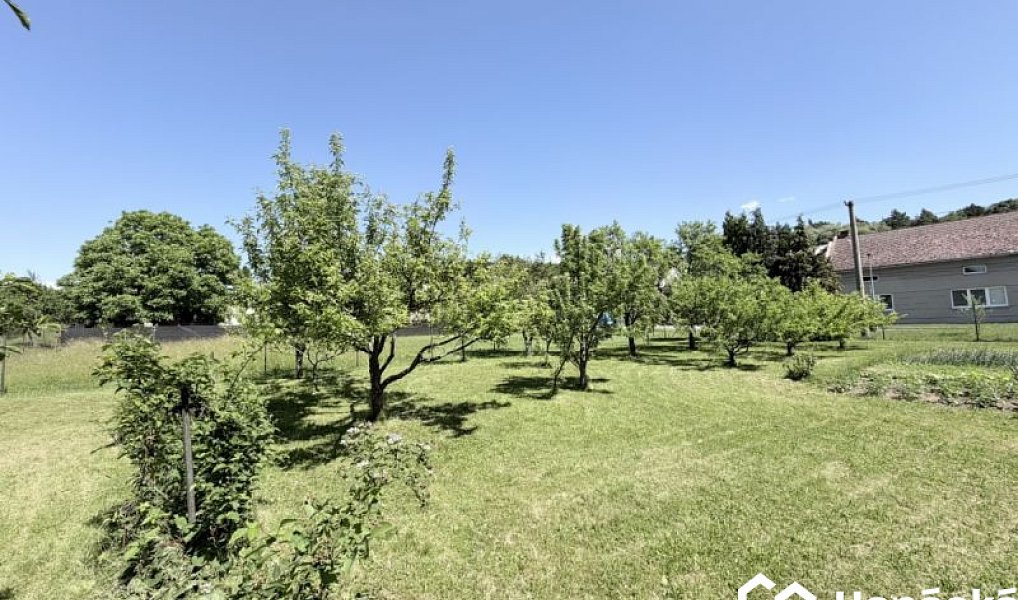 Prodej zahrady 808 m², Jankovice – náhled fotky 19