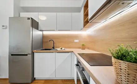 Prodej bytu 3+kk 66 m², Hrnčířská, Brno - Veveří
