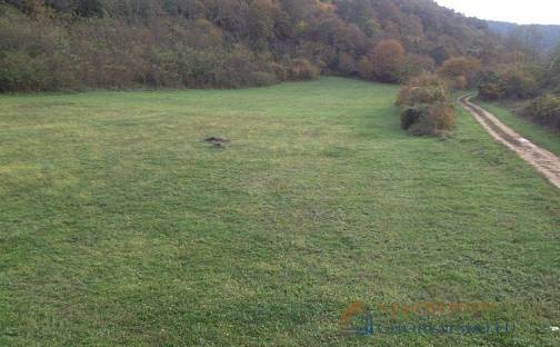 Prodej stavebního pozemku 13 270 m², Kanfanar, Chorvatsko