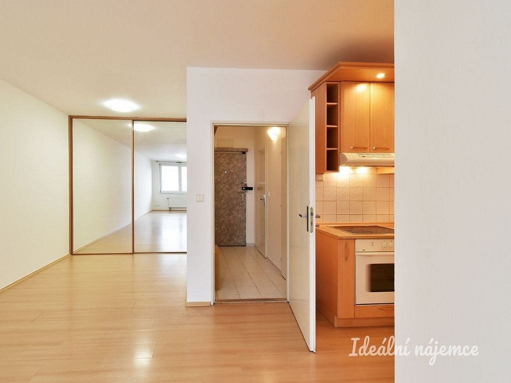 Pronájem bytu 1+kk 40 m² – fotografie 2