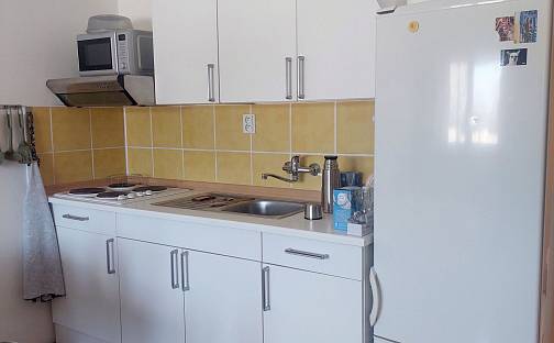 Prodej bytu 1+kk 29 m², Brno - Dolní Heršpice