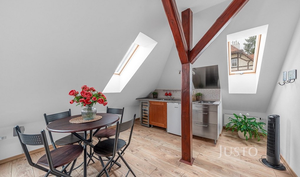 Prodej domu 250 m² s pozemkem 1 535 m², Liberec – náhled fotky 12
