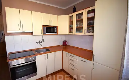 Pronájem bytu 1+1 39 m²