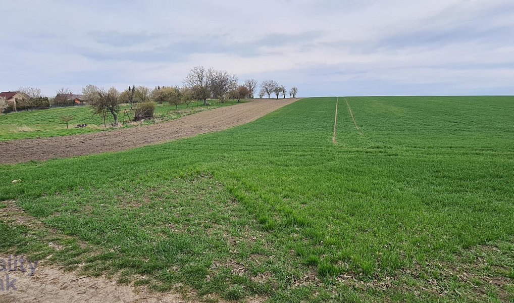 Prodej stavebního pozemku 1 854 m², Jiříkovice – náhled fotky 4