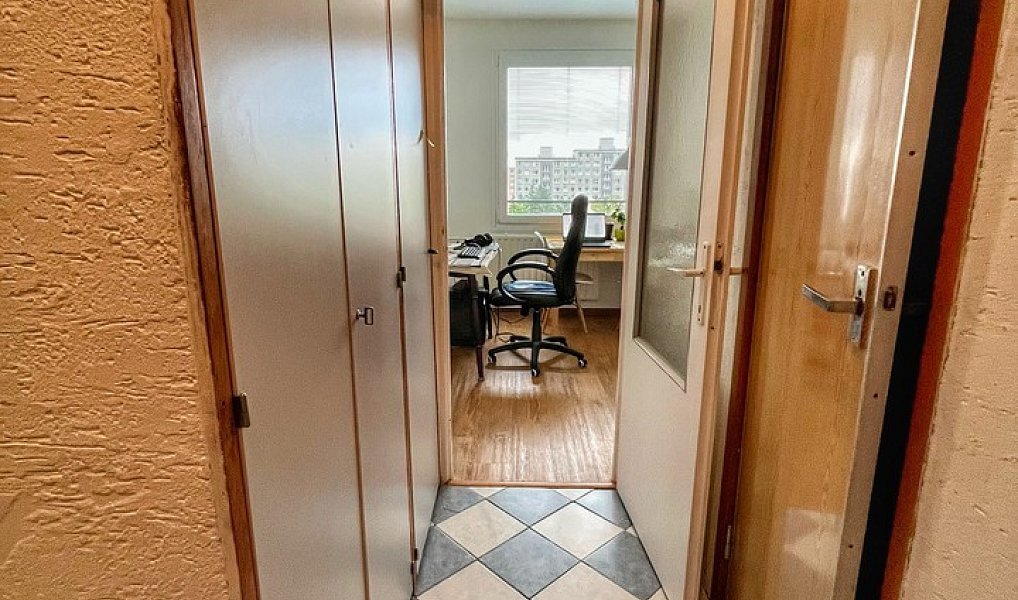Pronájem bytu 1+1 39 m², Plzeň – náhled fotky 11