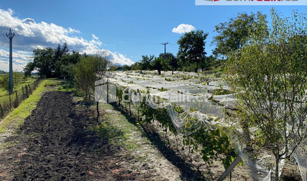 Pronájem chaty/chalupy 29 m², Tvrdonice – náhled fotky 9