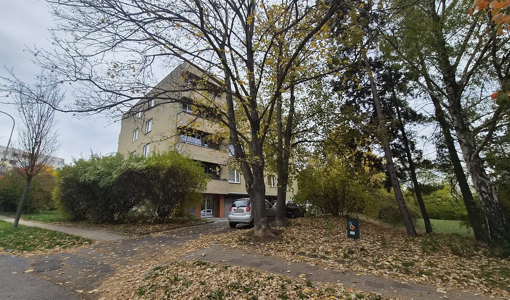 Pronájem bytu 2+1 58 m², Brno – náhled fotky 16