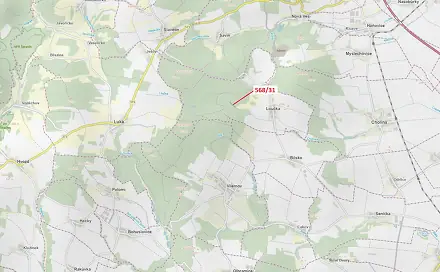 Dražba lesa 3 557 m², Loučka