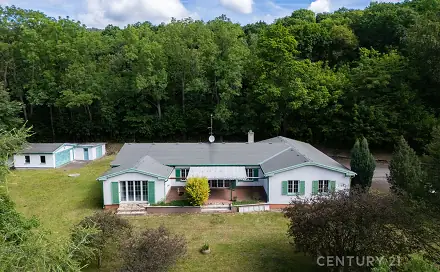 Prodej domu 273 m² s pozemkem 3 348 m², Podkrušnohorská, Lom, okres Most