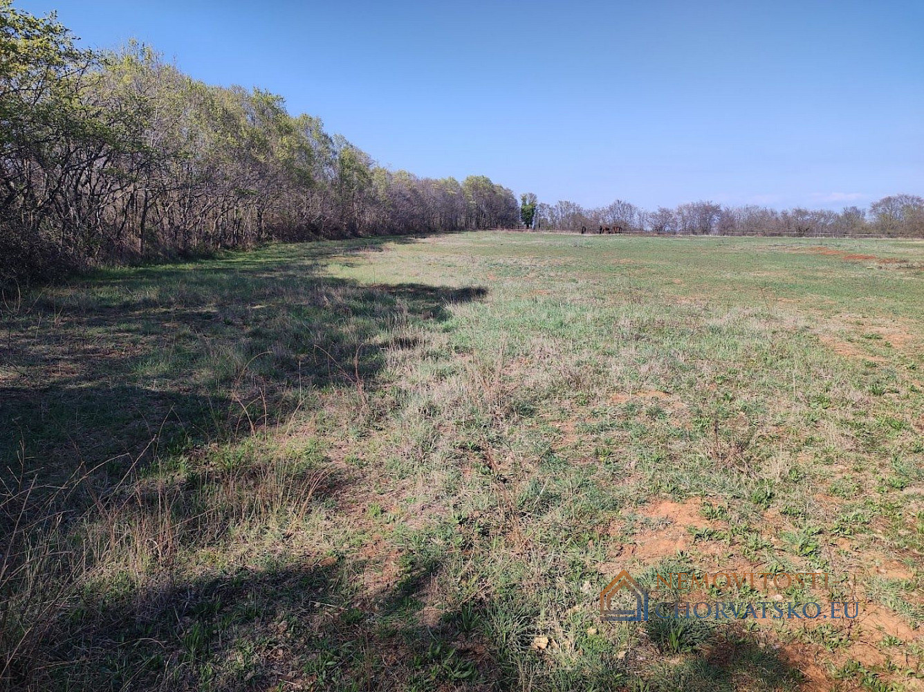 Prodej stavebního pozemku 10 504 m², Ližnjan
