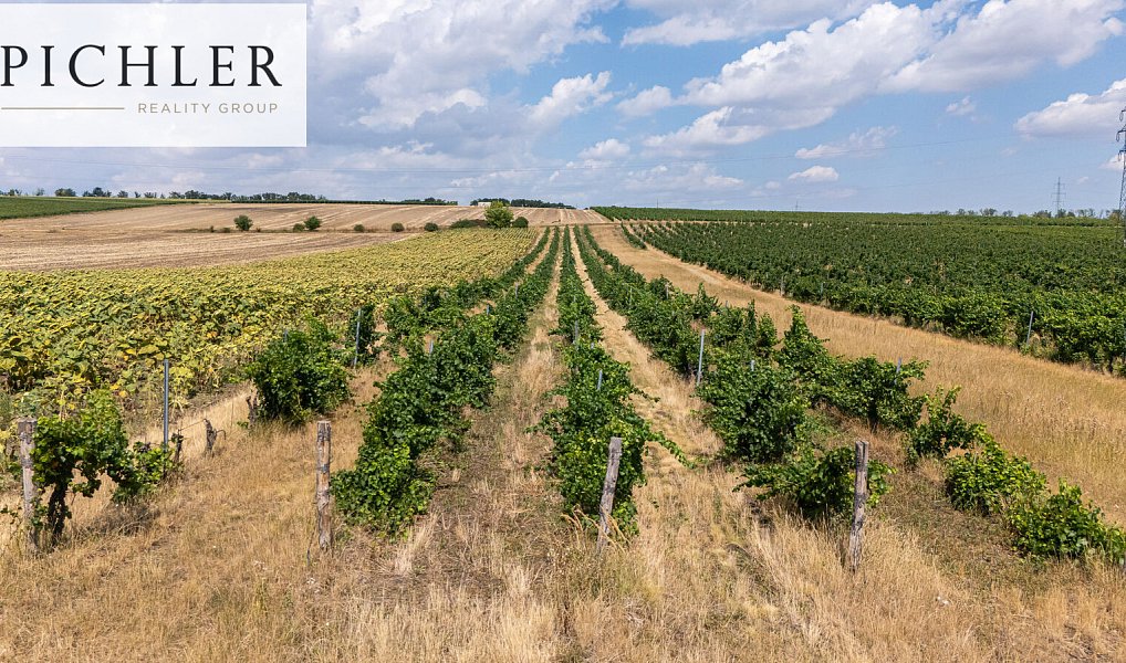Prodej pozemku 24 332 m², Sedlec – náhled fotky 9
