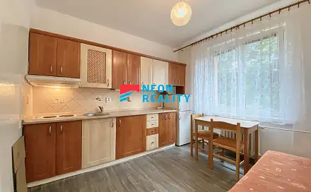 Pronájem bytu 1+1 40 m²