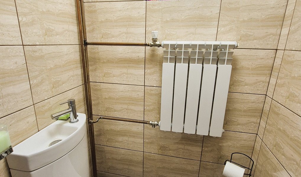 Prodej domu 95 m² s pozemkem 1 033 m², Hanušovice – náhled fotky 8