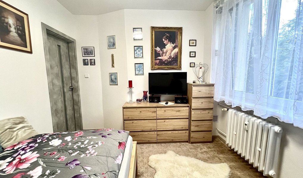 Prodej bytu 3+1 58 m², Praha – náhled fotky 11