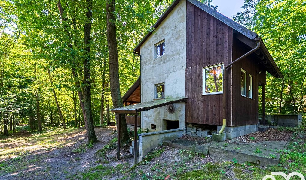 Prodej chaty/chalupy 30 m² s pozemkem 30 m², Ráby – náhled fotky 13
