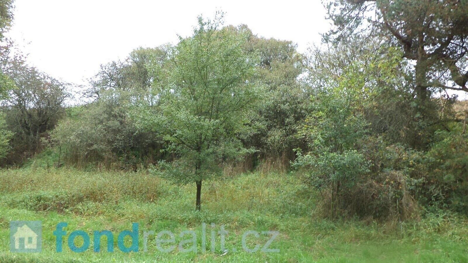 Prodej pozemku 3 639 m² – fotografie 3