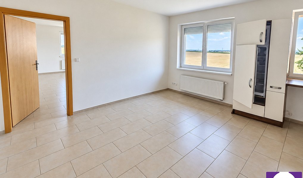 Pronájem bytu 3+1 105 m², Zbuzany – náhled fotky 4
