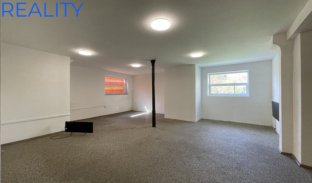 Pronájem obchodních prostor 220 m², Opava – náhled fotky 4