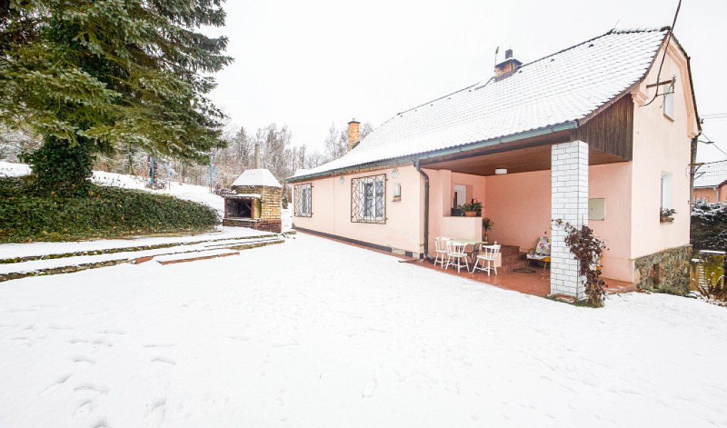 Prodej domu 170 m² s pozemkem 2 013 m², Plasy – náhled fotky 18