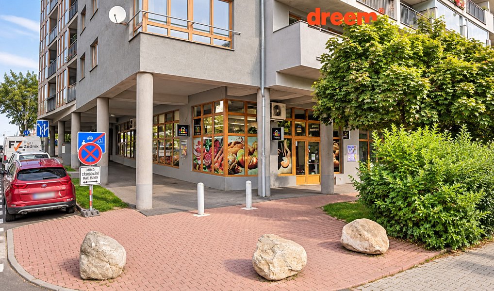 Pronájem bytu 1+kk 25 m², Praha – náhled fotky 21