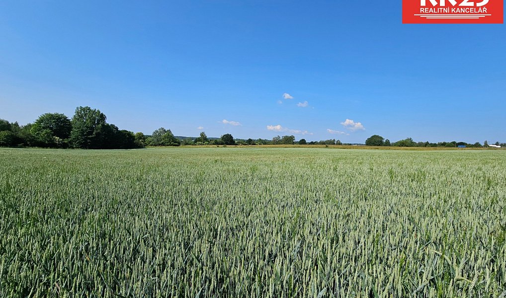 Prodej komerčního pozemku 2 385 m², Cheb – náhled fotky 5