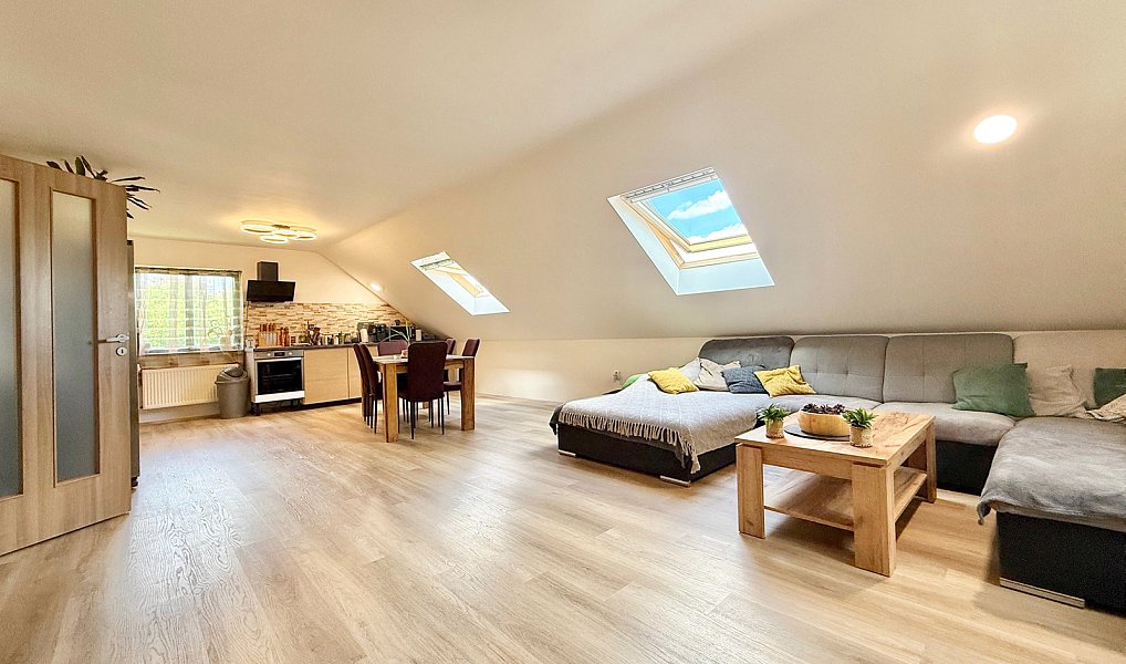 Prodej domu 450 m² s pozemkem 780 m², Okrouhlo – náhled fotky 21