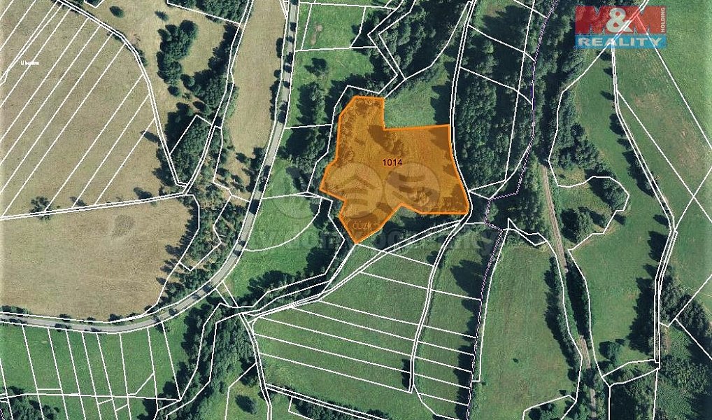 Prodej louky 15 642 m², Bernartice – náhled fotky 5