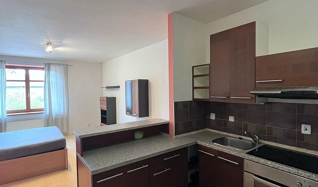 Pronájem bytu 1+kk 40 m², České Budějovice – náhled fotky 2