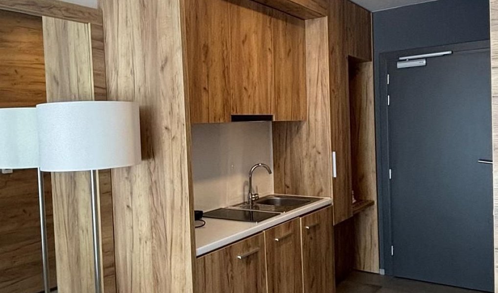 Prodej bytu 1+kk 28 m², Dolní Morava – náhled fotky 6