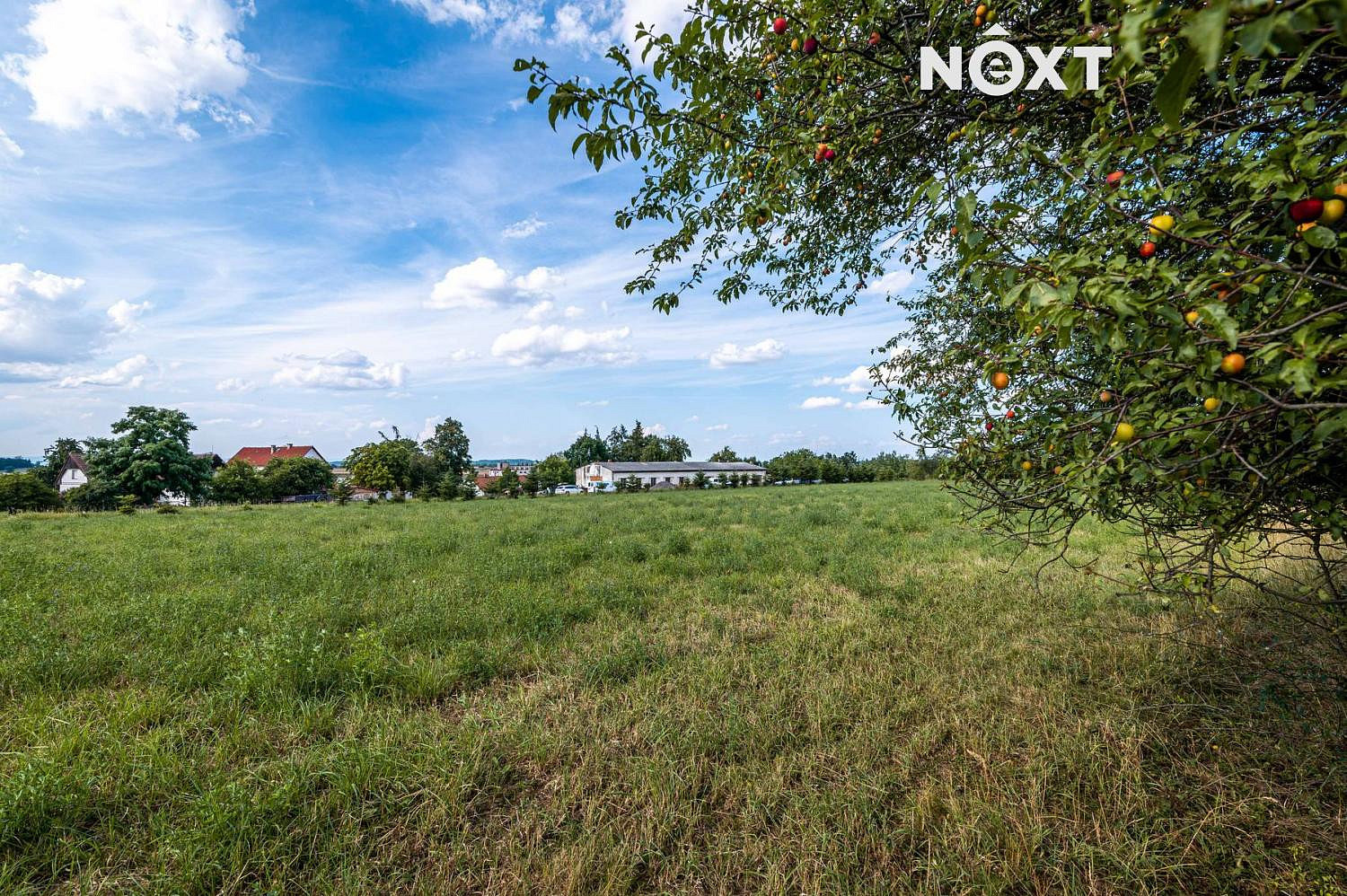 Prodej komerčního pozemku 9 158 m² – fotografie 5