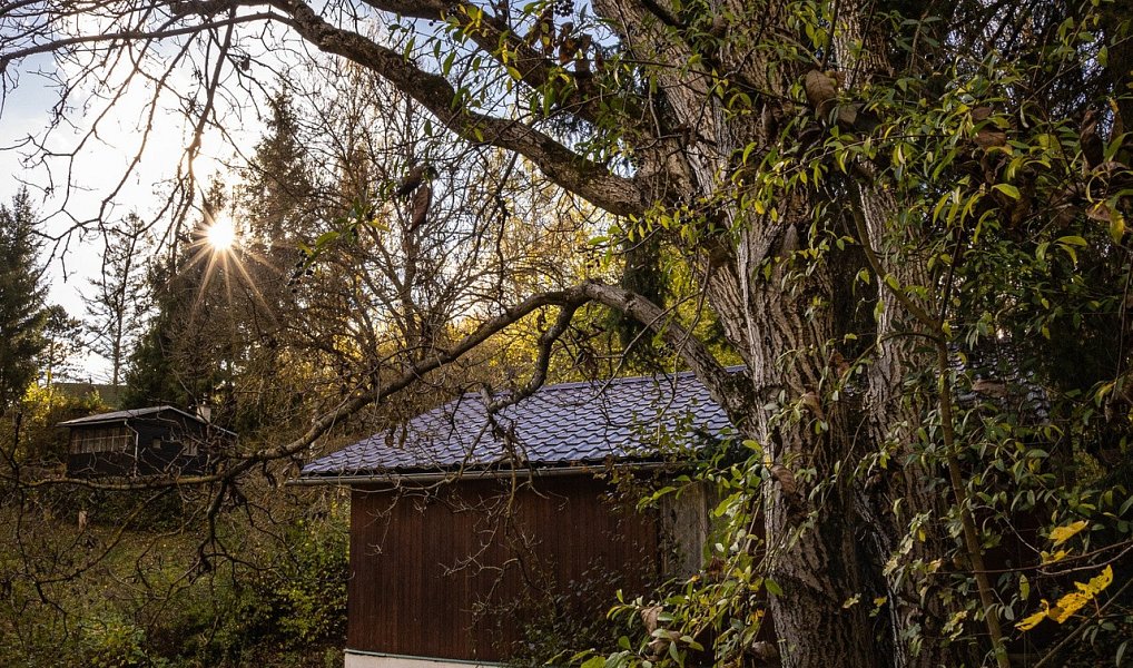Prodej chaty/chalupy 79 m² s pozemkem 933 m², Heroltice – náhled fotky 13