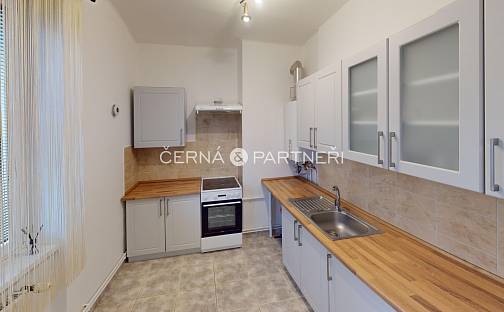Pronájem bytu 2+1 53 m², Josefa Suka, Teplice