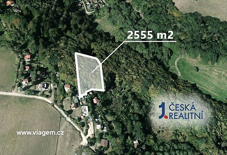 Prodej lesa 2 555 m² – fotografie 2