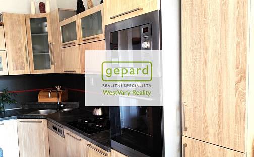 Pronájem bytu 2+1 59 m², náměstí Dr. M. Horákové, Karlovy Vary