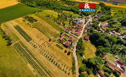 Prodej stavebního pozemku 7 835 m², Borkovany, okres Břeclav