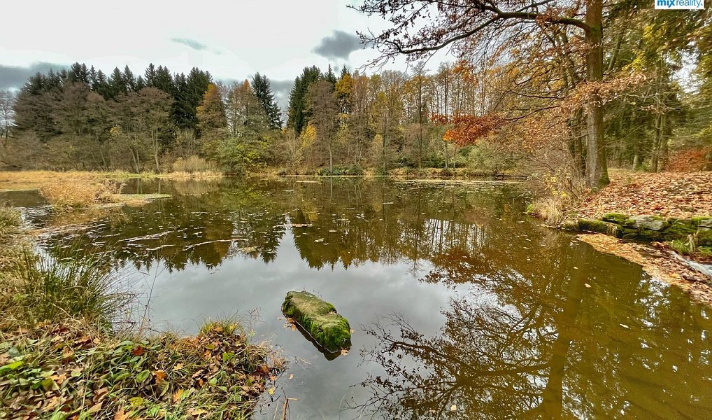 Prodej vodní plochy 14 487 m², Čmelíny – náhled fotky 6