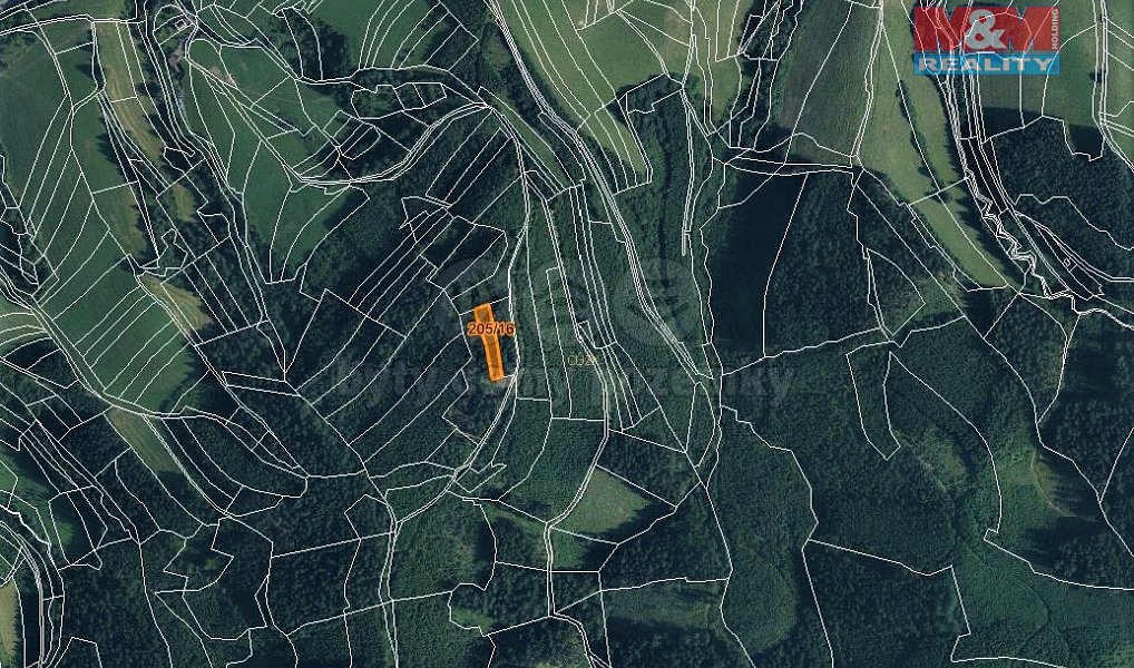 Prodej lesa 1 205 m², Lhota u Vsetína – náhled fotky 4