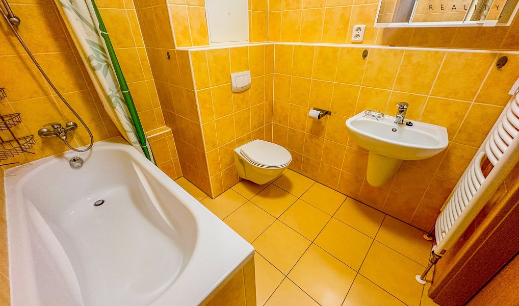 Pronájem bytu 1+kk 32 m², Plzeň – náhled fotky 5