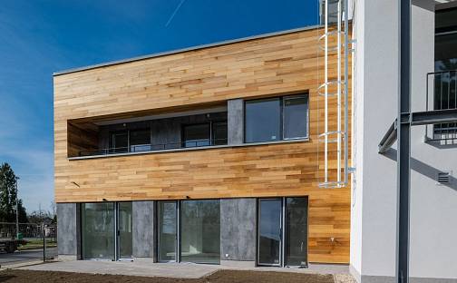 Prodej bytu 5+kk 131 m², Křižíkova, Čelákovice, okres Praha-východ