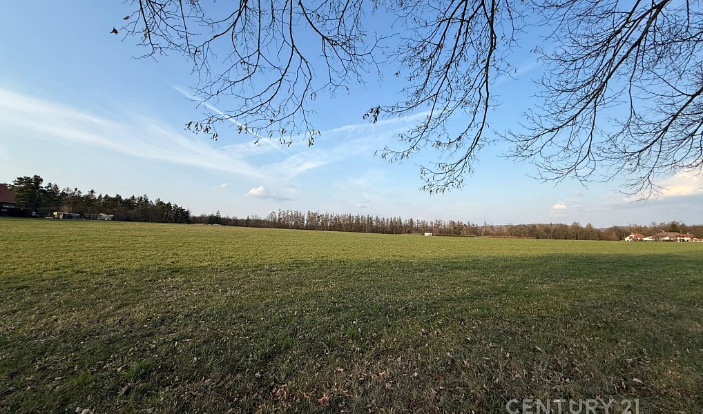 Prodej stavebního pozemku 1 608 m², Hradištko – náhled fotky 3