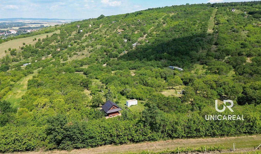 Prodej pole 3 851 m², Židlochovice – náhled fotky 8