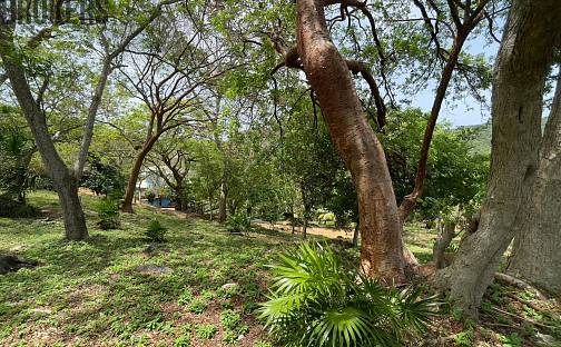 Prodej stavebního pozemku 1 821 m², Coxen Hole, Roatán, Honduras