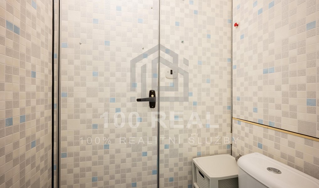 Pronájem bytu 2+1 64 m², Hradec Králové – náhled fotky 10
