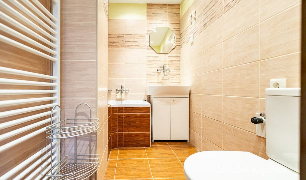 Pronájem domu 41 m² s pozemkem 100 m², Brandýs nad Labem-Stará Boleslav – náhled fotky 10